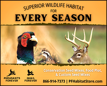 Pheasants Forever Sq