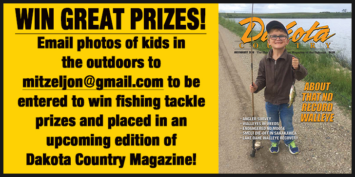 DCM Kids Web Banner
